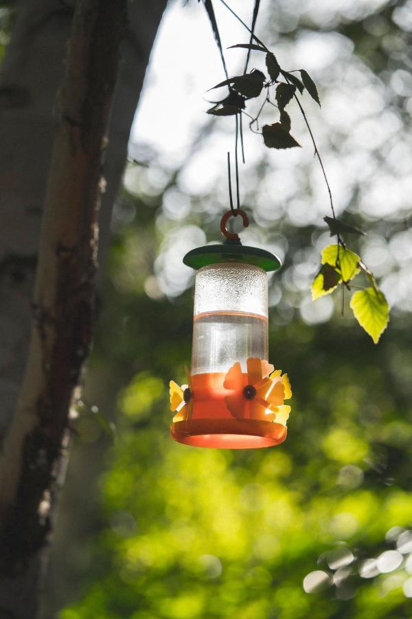 El Colibri Cabanas De La Naturaleza Trelew Exteriör bild